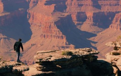 Chief Freelance Officer : DRH de demain ?