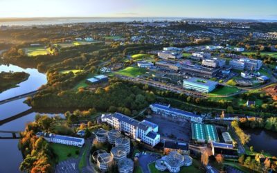 Réorganisation des parcours patients en consultation externe pour un CHRU