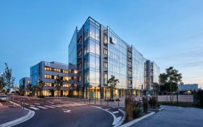 Diagnostic de l’organisation Digital & IT d’un leader mondial des solutions RH